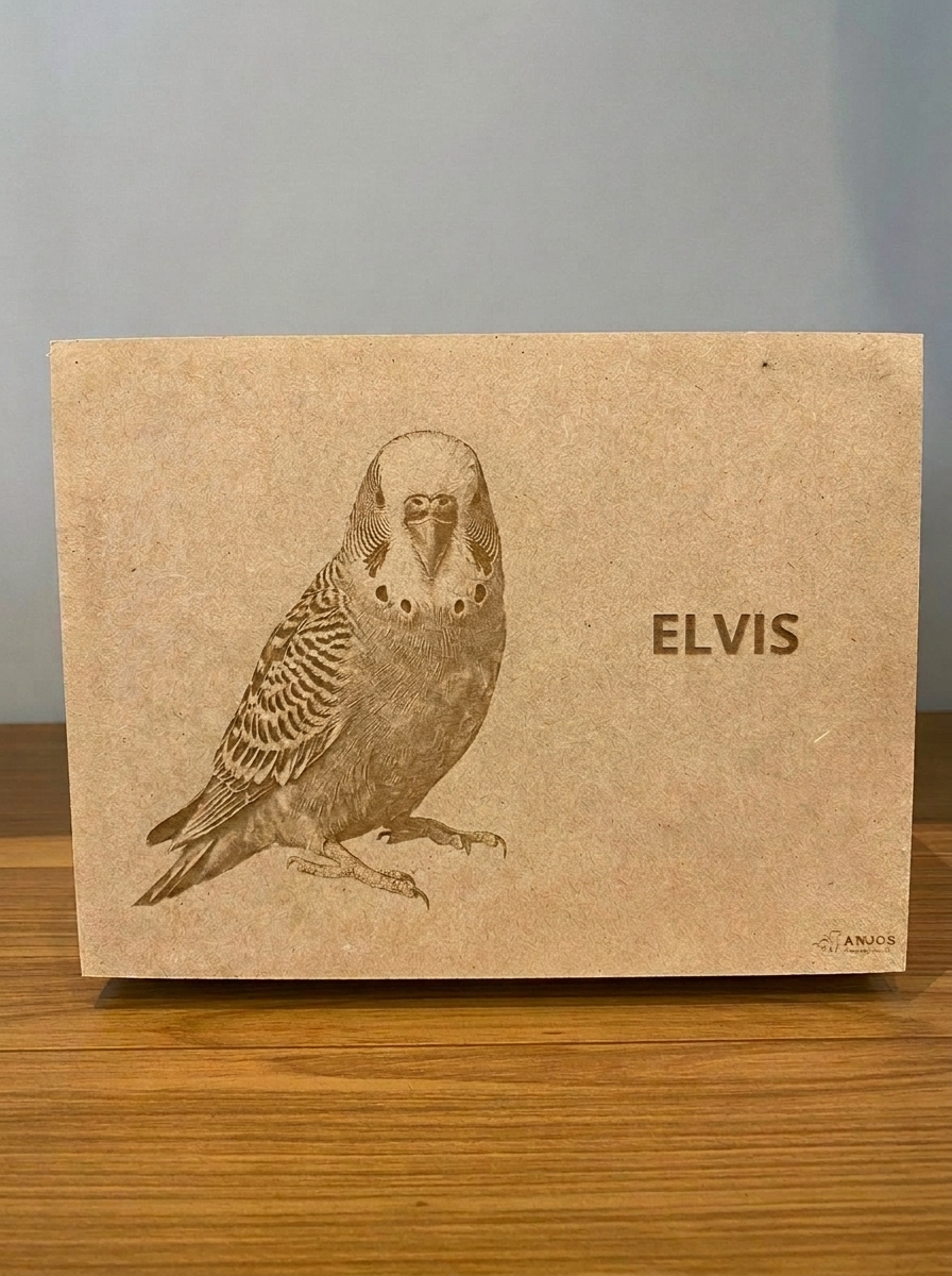 Urna de MDF exclusiva para aves